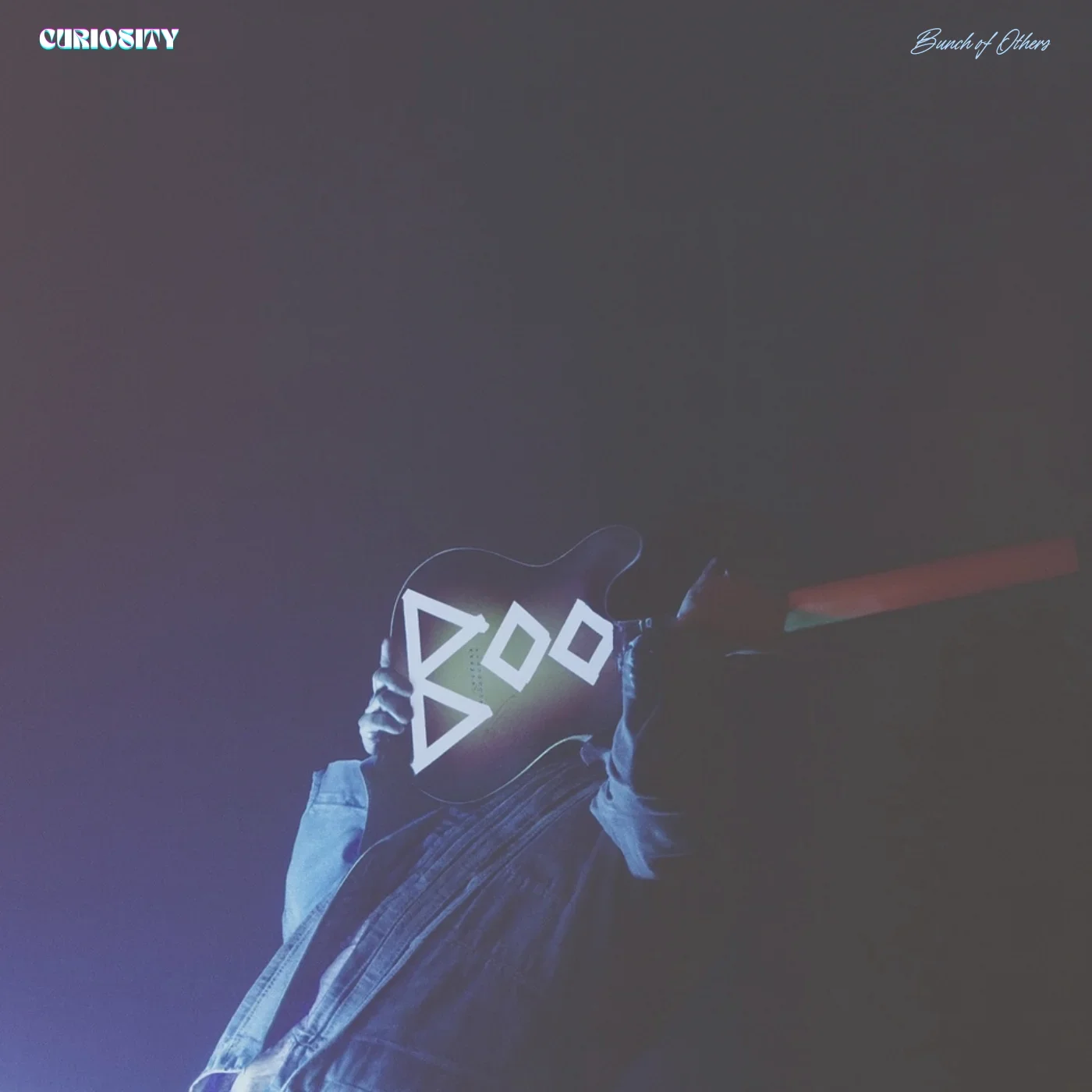 Curiosity - Bunch of Others