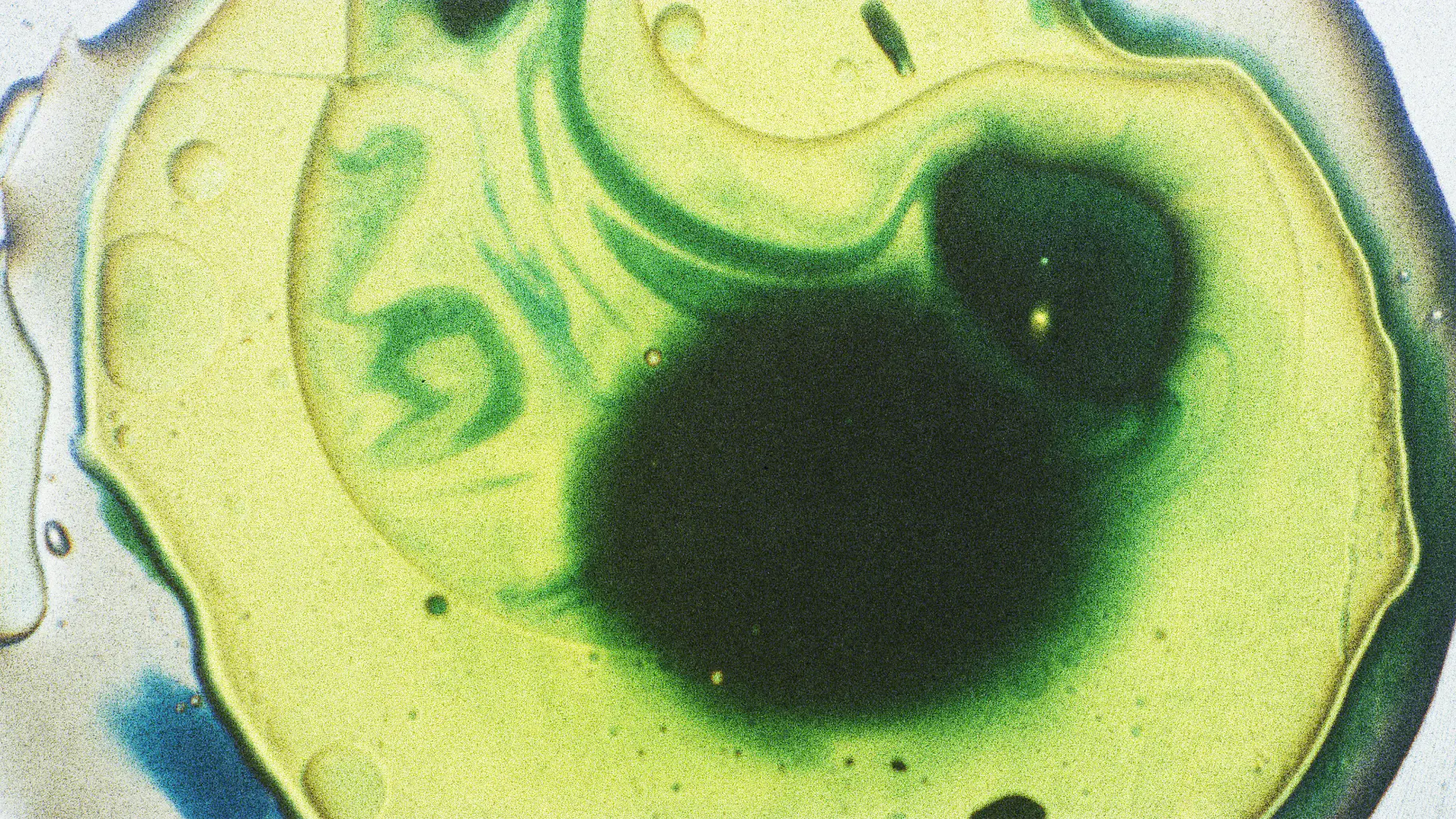 Liquid light art — magenta and green nebula