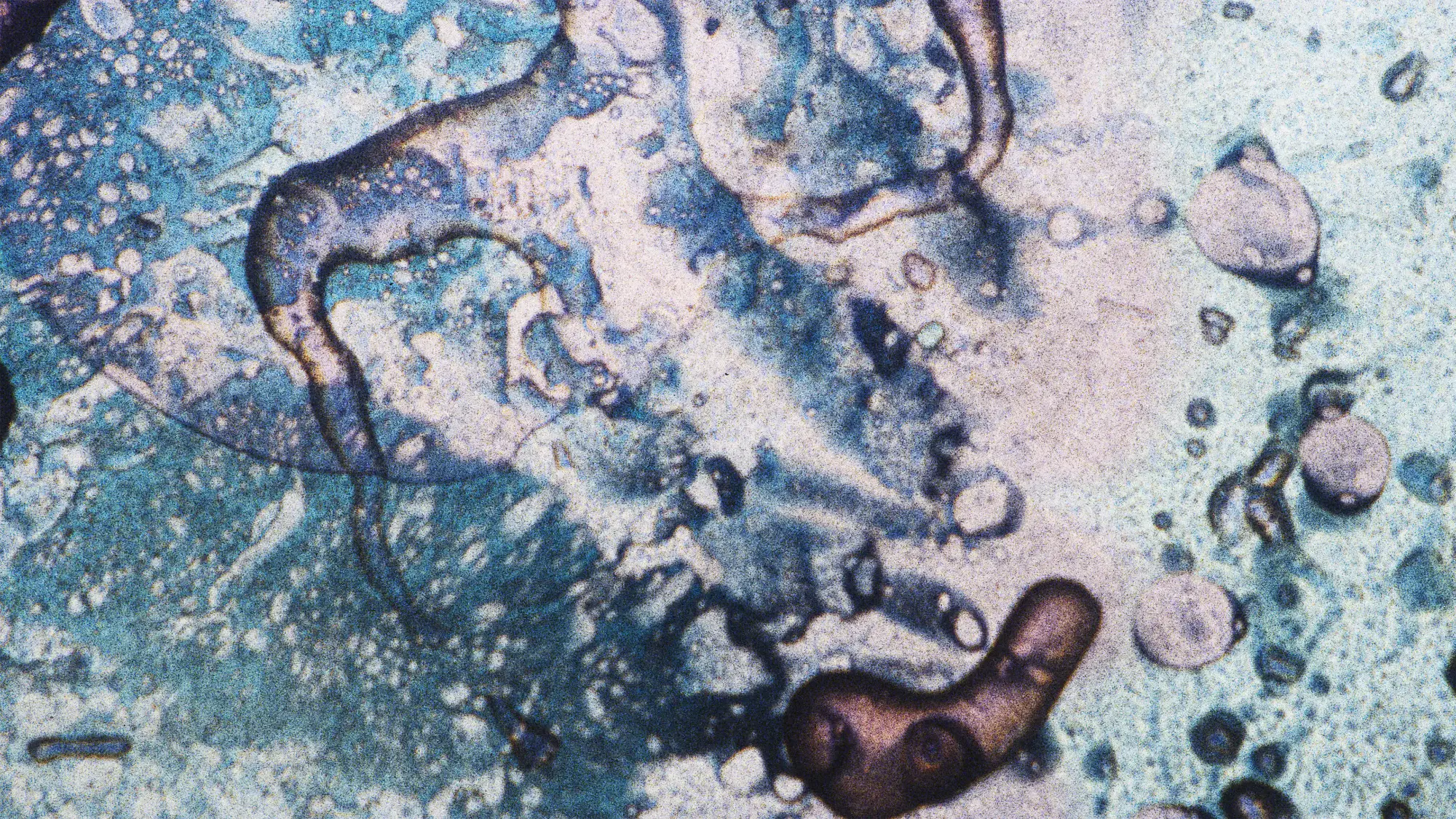 Liquid light art — cyan and purple swirl